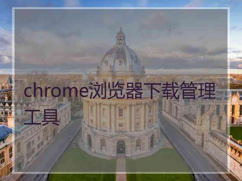 chrome浏览器下载管理工具