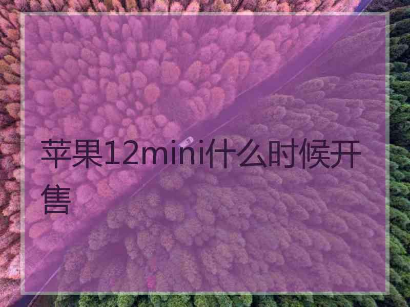 苹果12mini什么时候开售