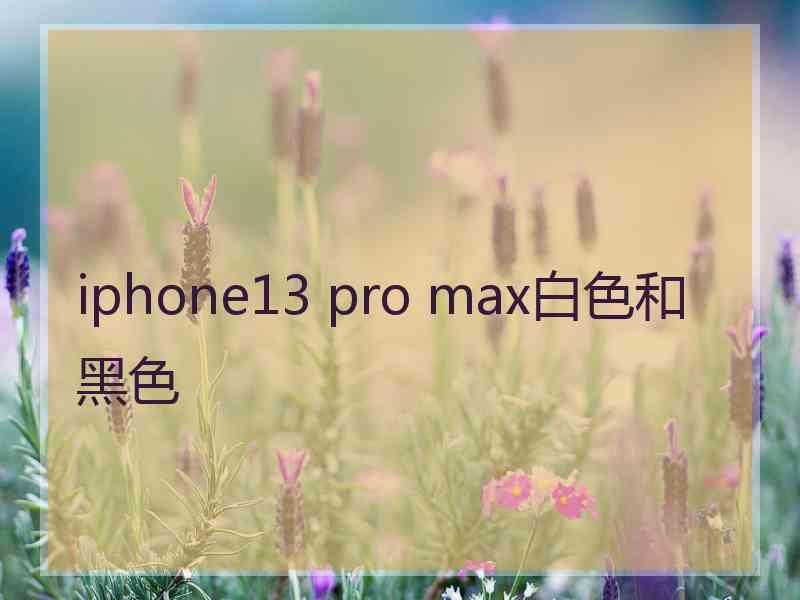 iphone13 pro max白色和黑色