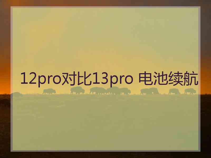 12pro对比13pro 电池续航