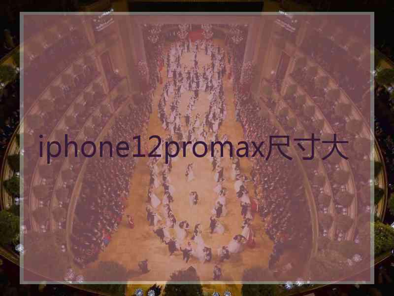 iphone12promax尺寸大