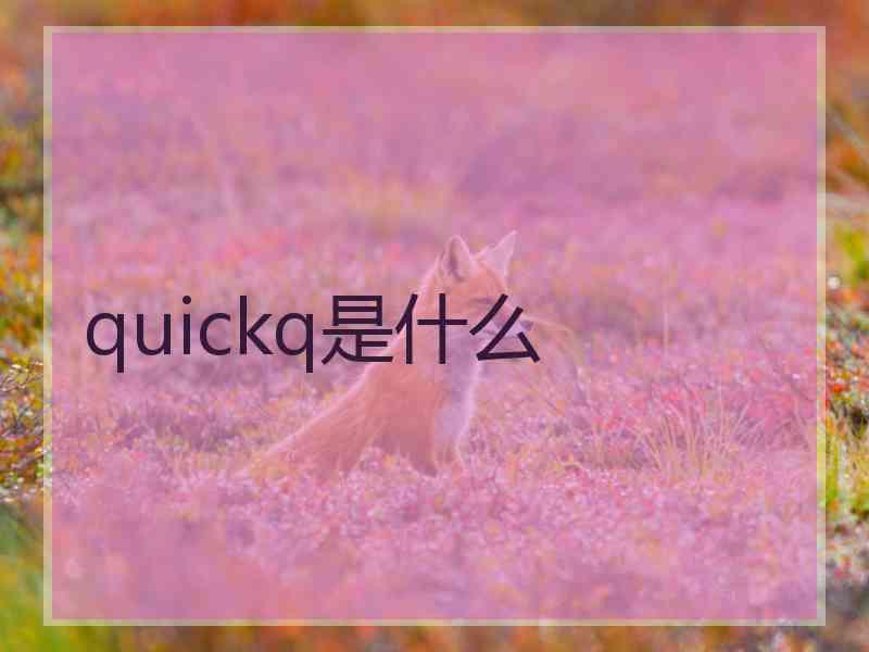 quickq是什么