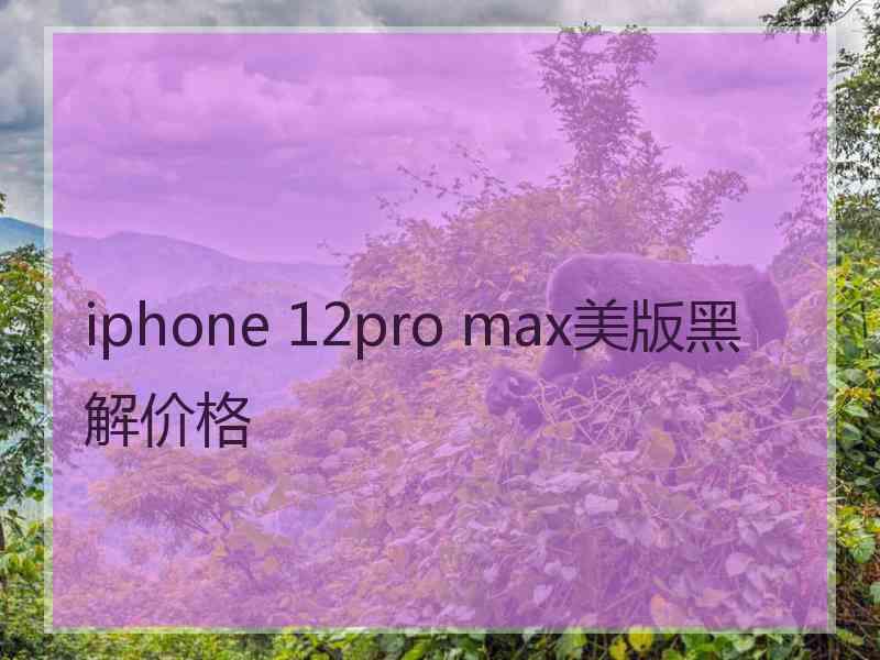 iphone 12pro max美版黑解价格