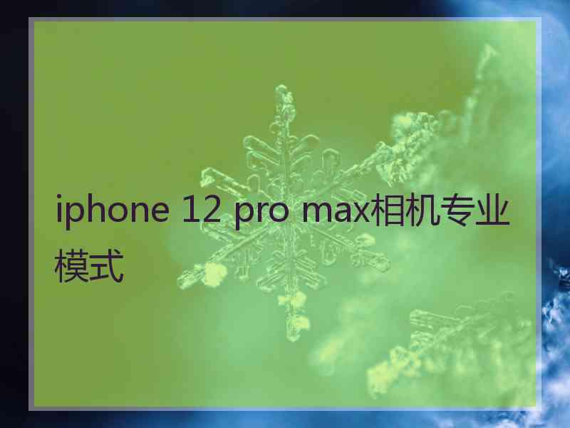 iphone 12 pro max相机专业模式