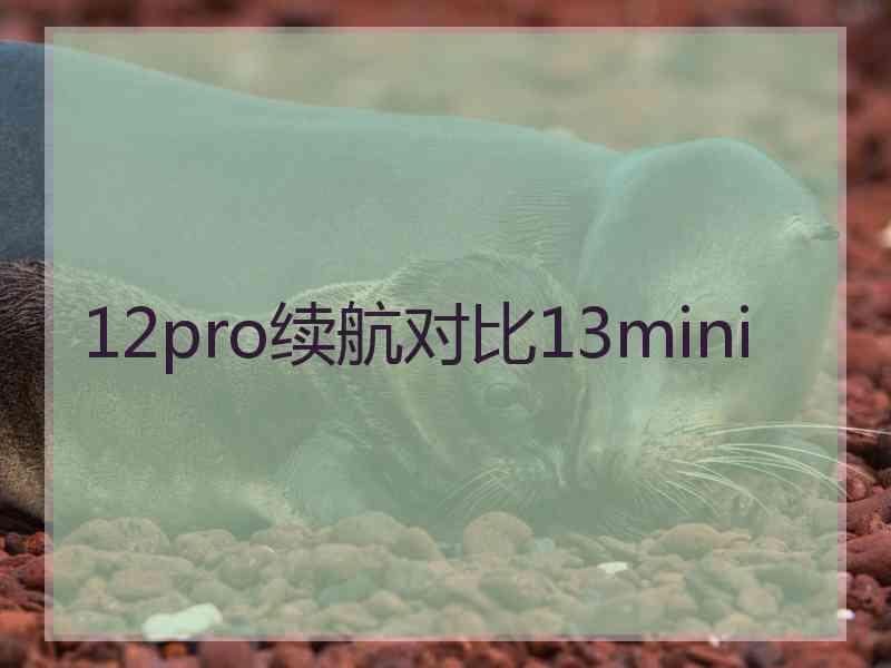 12pro续航对比13mini