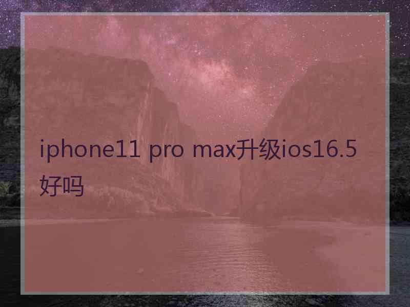 iphone11 pro max升级ios16.5好吗