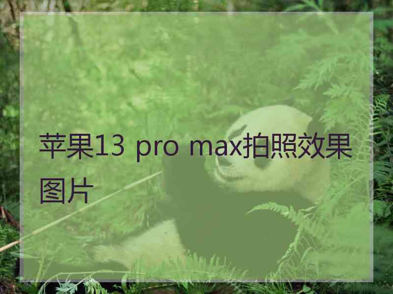 苹果13 pro max拍照效果图片