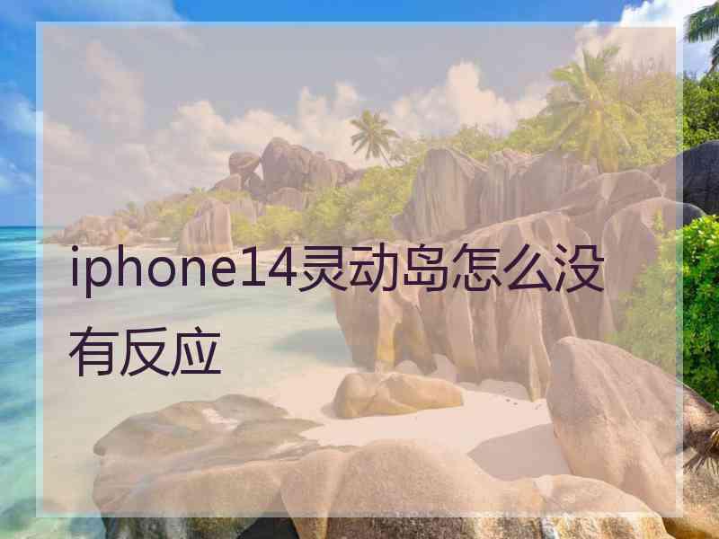 iphone14灵动岛怎么没有反应