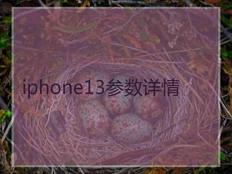 iphone13参数详情