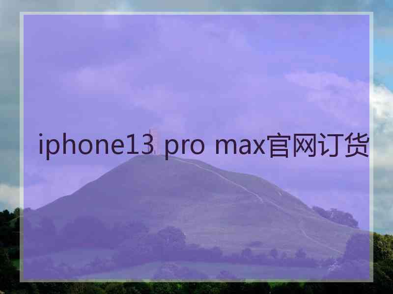 iphone13 pro max官网订货