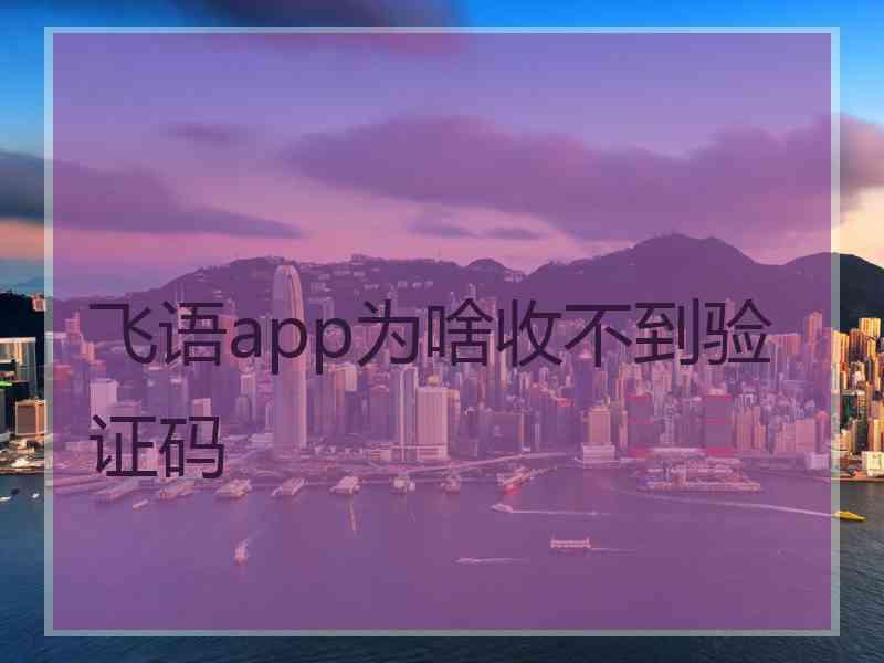 飞语app为啥收不到验证码