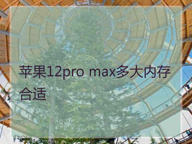 苹果12pro max多大内存合适