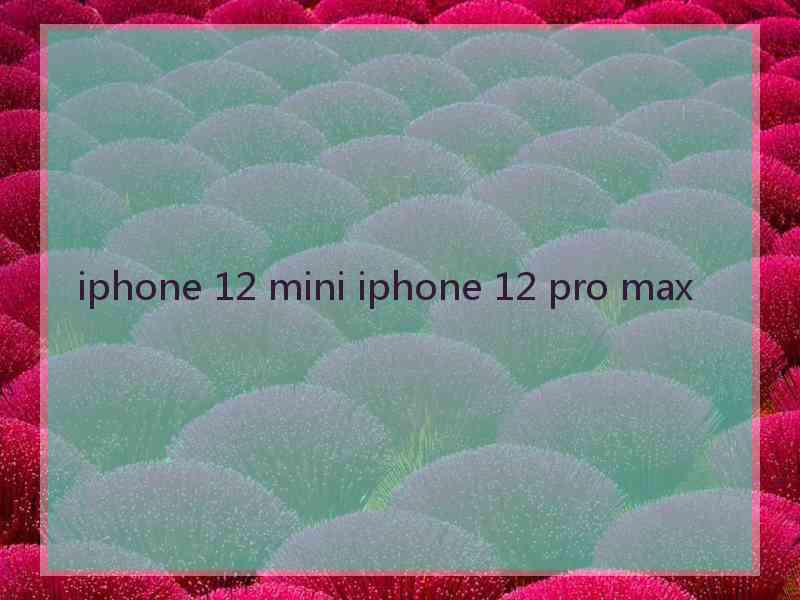 iphone 12 mini iphone 12 pro max