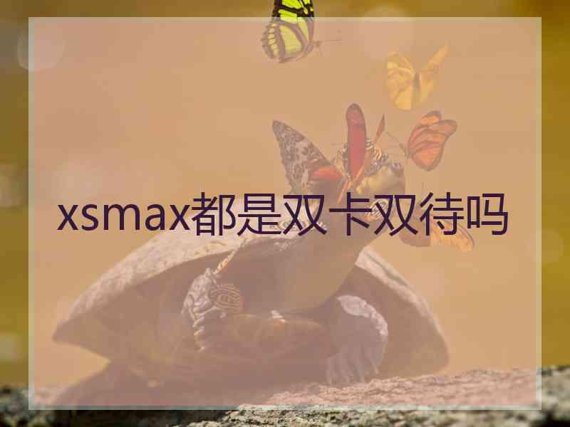 xsmax都是双卡双待吗