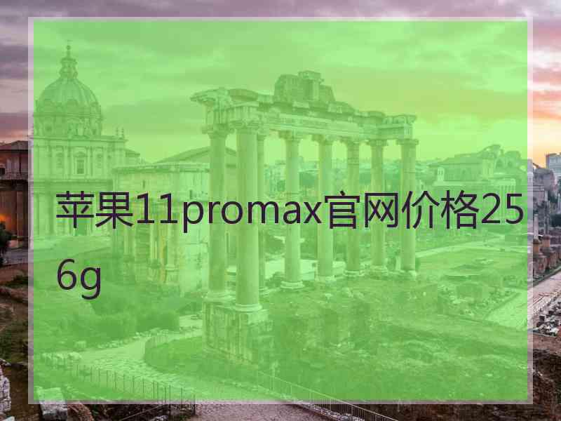 苹果11promax官网价格256g