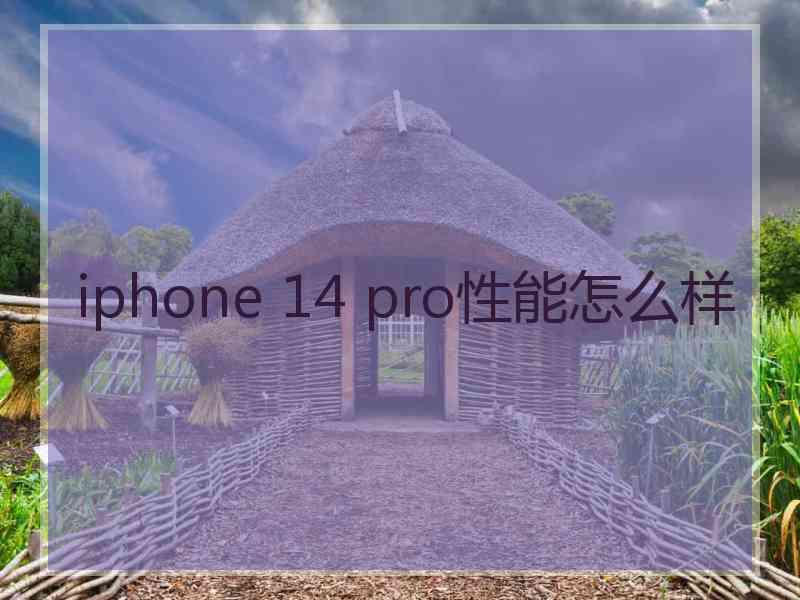 iphone 14 pro性能怎么样