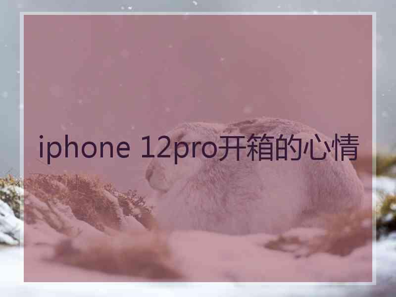 iphone 12pro开箱的心情