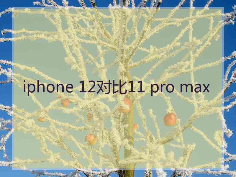 iphone 12对比11 pro max