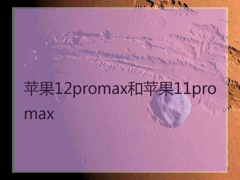 苹果12promax和苹果11pro max