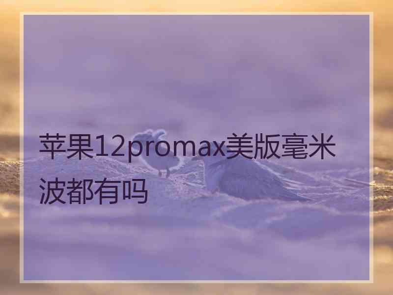 苹果12promax美版毫米波都有吗