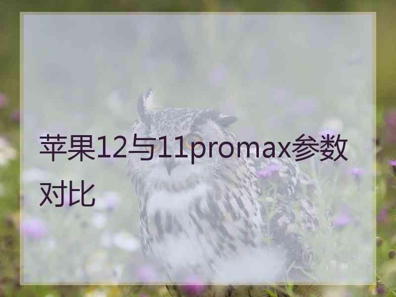 苹果12与11promax参数对比