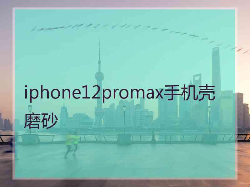 iphone12promax手机壳磨砂