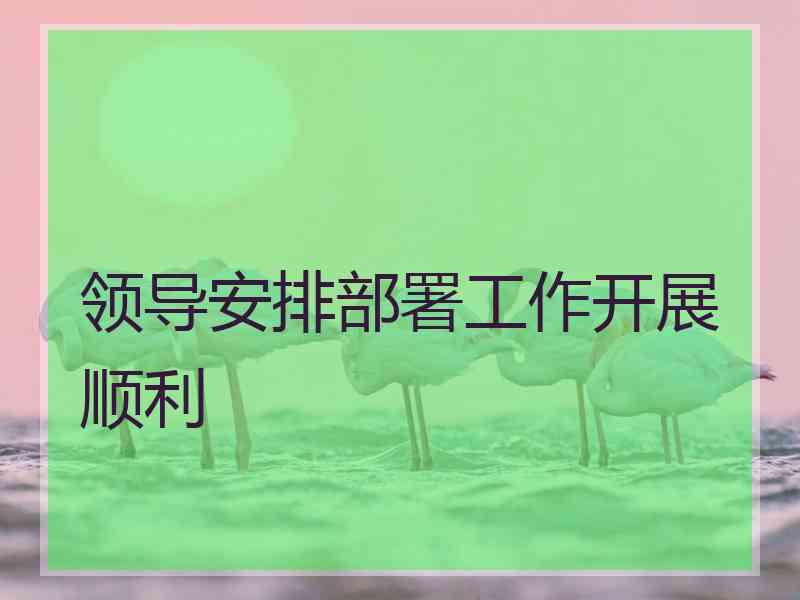 领导安排部署工作开展顺利