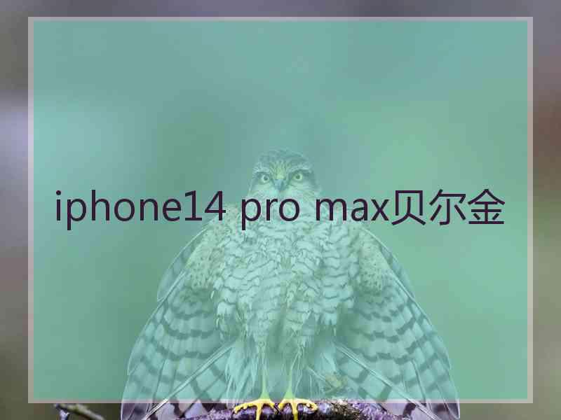 iphone14 pro max贝尔金