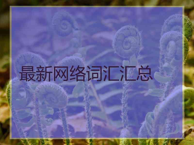 最新网络词汇汇总