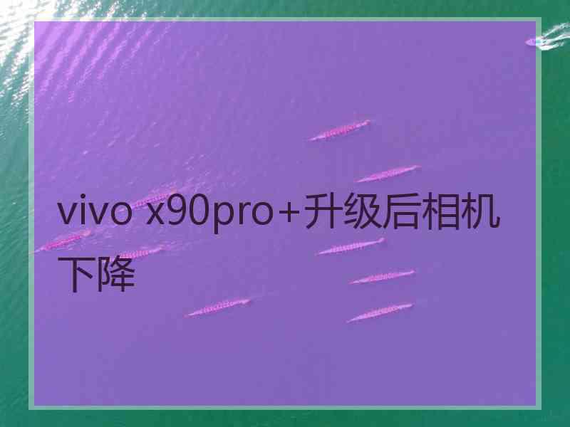 vivo x90pro+升级后相机下降