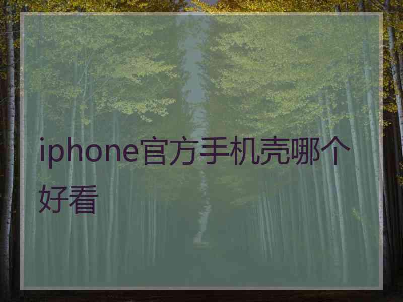 iphone官方手机壳哪个好看