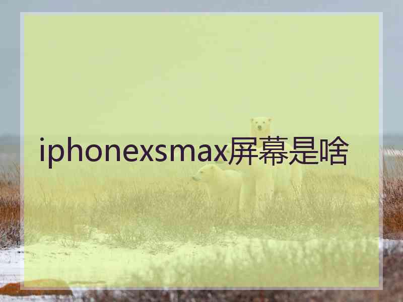 iphonexsmax屏幕是啥