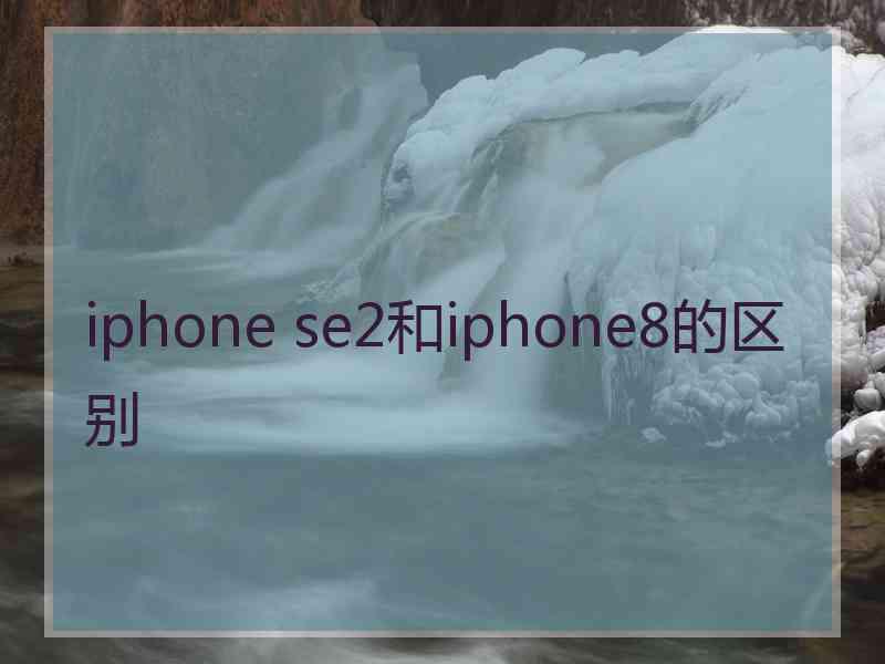 iphone se2和iphone8的区别