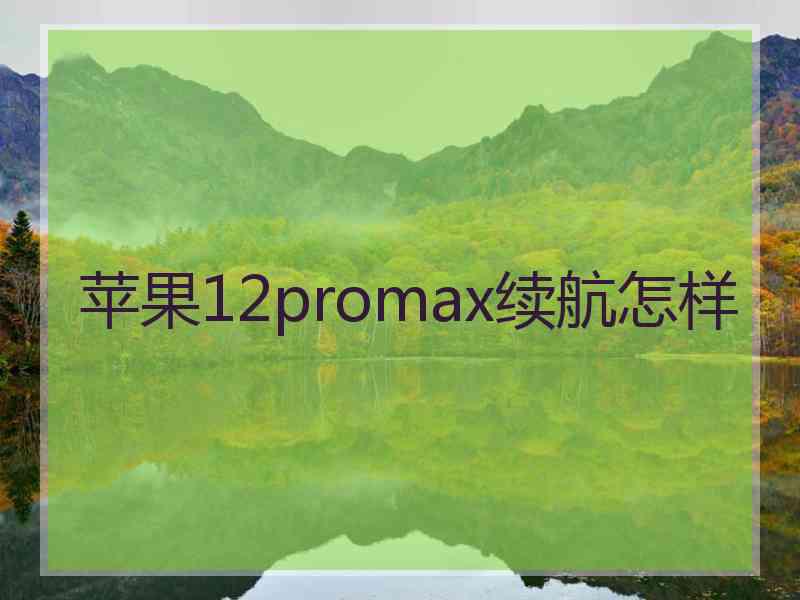 苹果12promax续航怎样