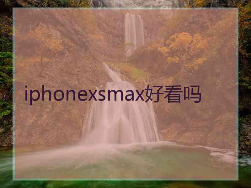 iphonexsmax好看吗