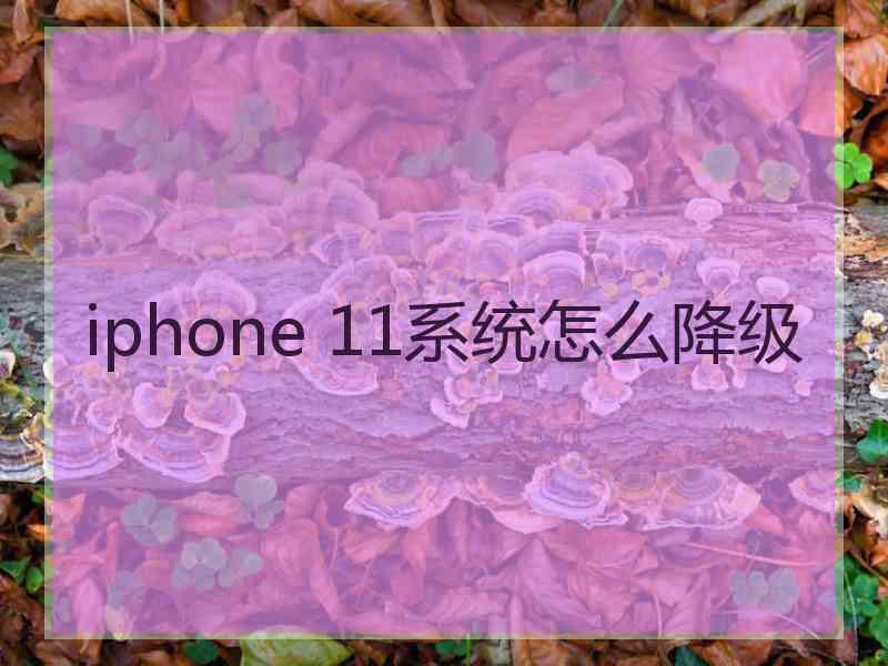 iphone 11系统怎么降级