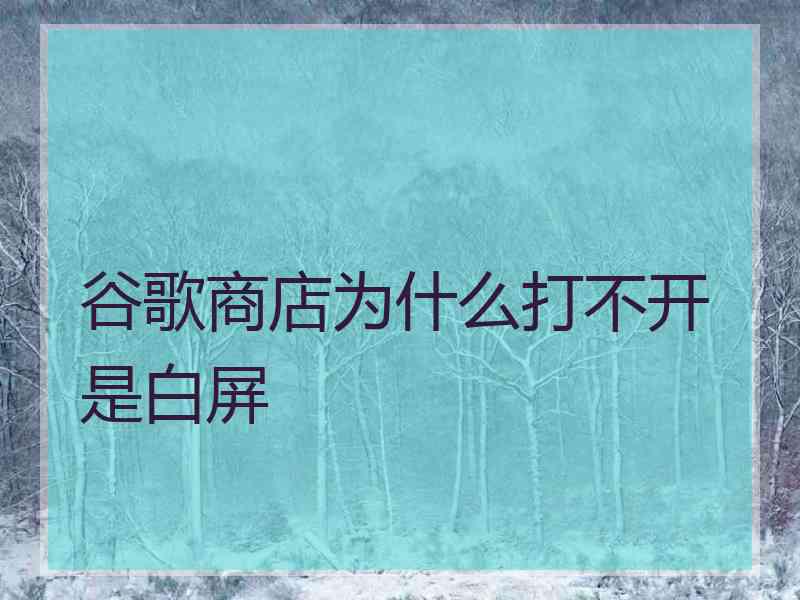 谷歌商店为什么打不开是白屏