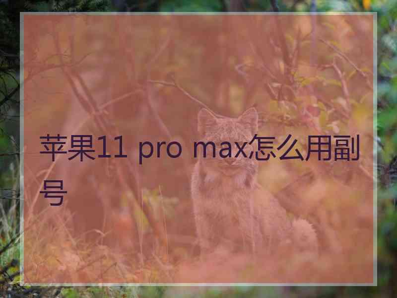 苹果11 pro max怎么用副号