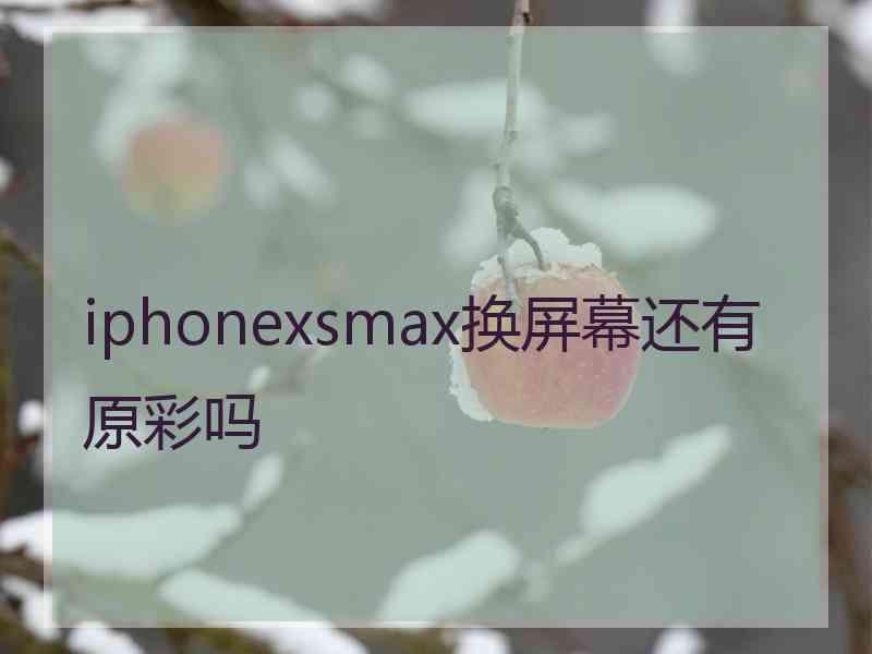 iphonexsmax换屏幕还有原彩吗