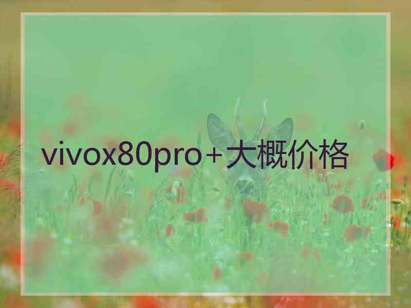 vivox80pro+大概价格