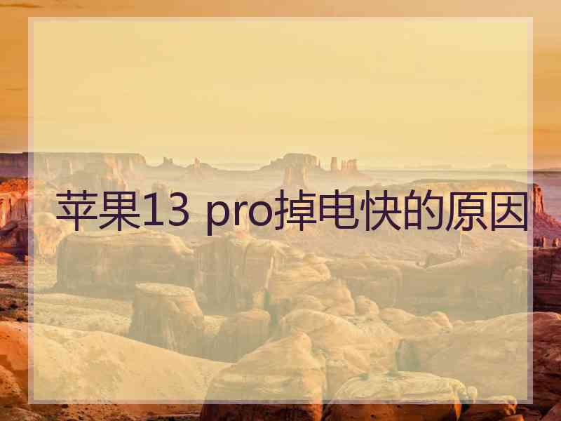 苹果13 pro掉电快的原因