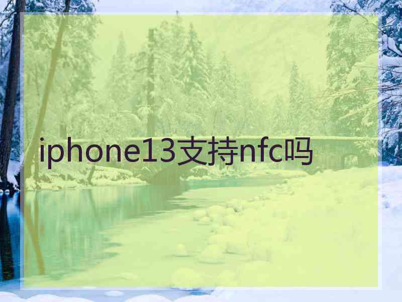 iphone13支持nfc吗