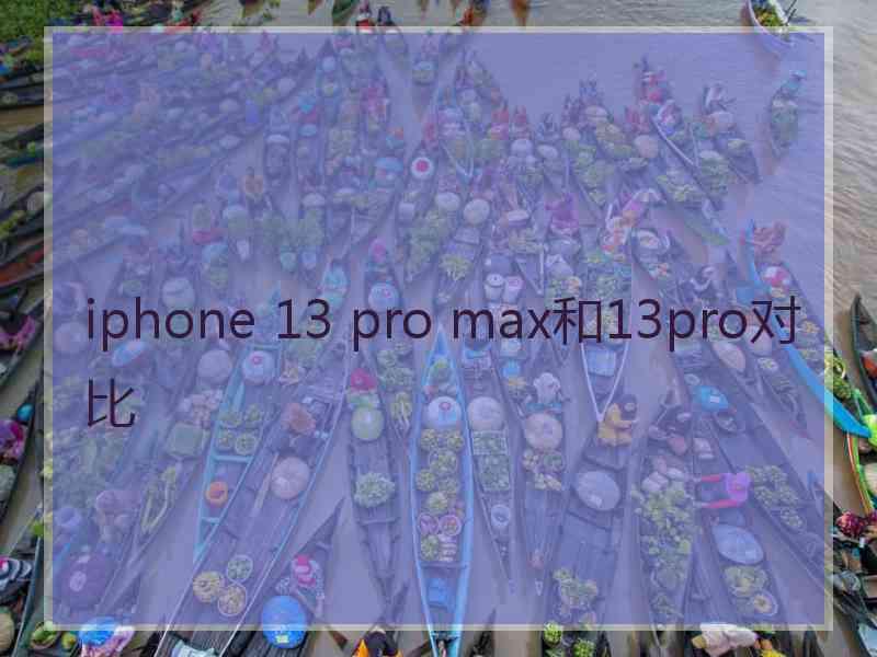 iphone 13 pro max和13pro对比