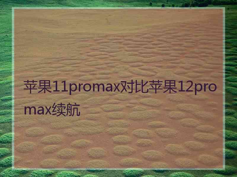 苹果11promax对比苹果12promax续航