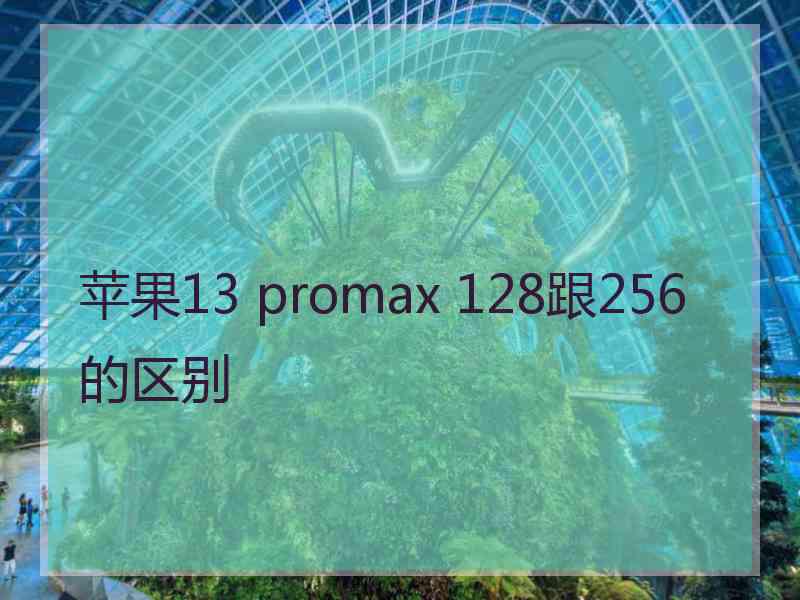 苹果13 promax 128跟256的区别