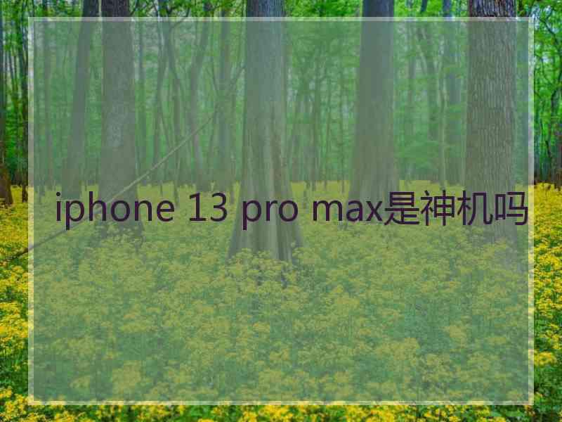 iphone 13 pro max是神机吗