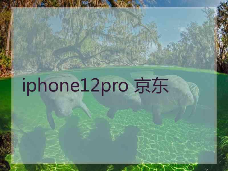 iphone12pro 京东