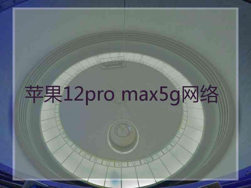 苹果12pro max5g网络