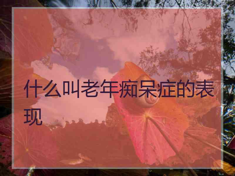 什么叫老年痴呆症的表现