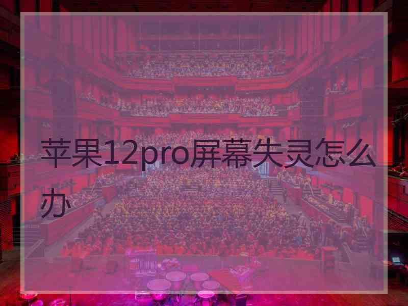 苹果12pro屏幕失灵怎么办